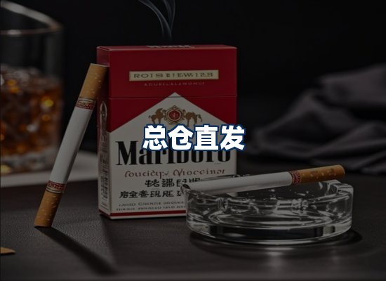 专业团队办公环境